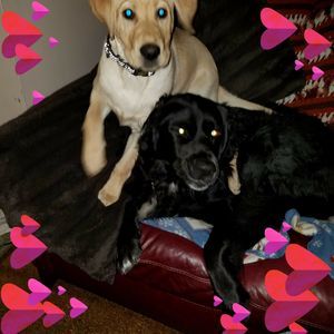 Meet your Posher, Renee